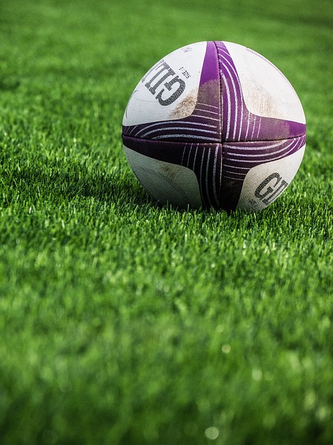 rugby Transfert aéroport et gare pour la Coupe du monde de rugby 2023 en France
